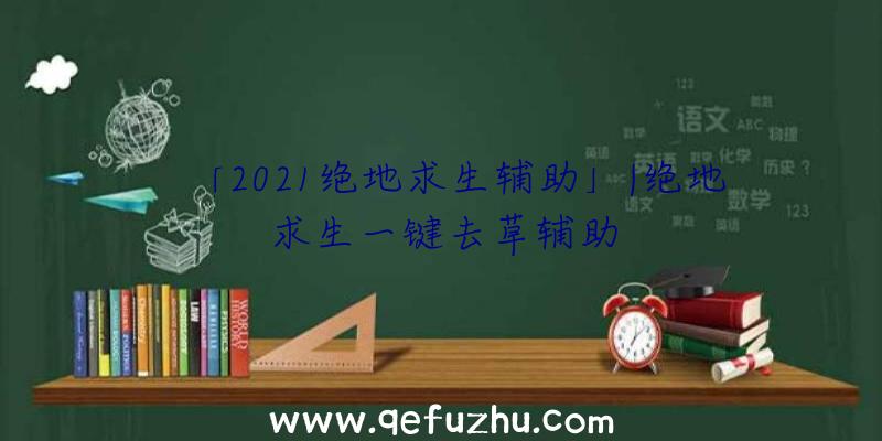 「2021绝地求生辅助」|绝地求生一键去草辅助